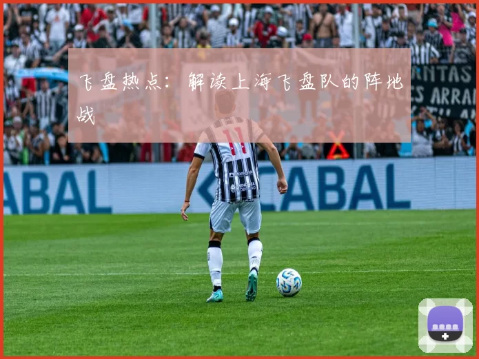 飞盘热点：解读上海飞盘队的阵地战