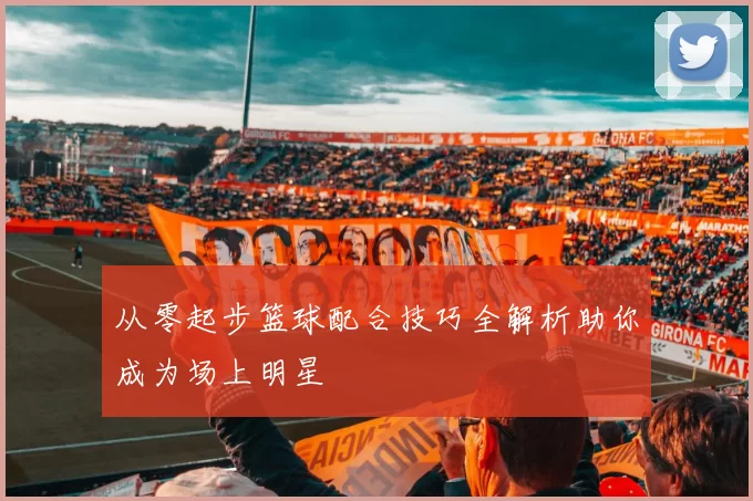 从零起步篮球配合技巧全解析助你成为场上明星