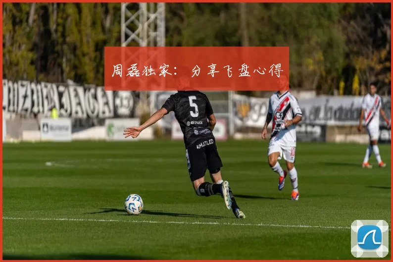 周磊独家：分享飞盘心得