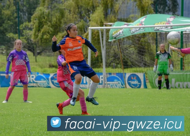 九游体育平台生态图