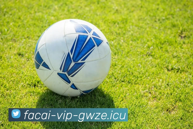 九游体育全站App